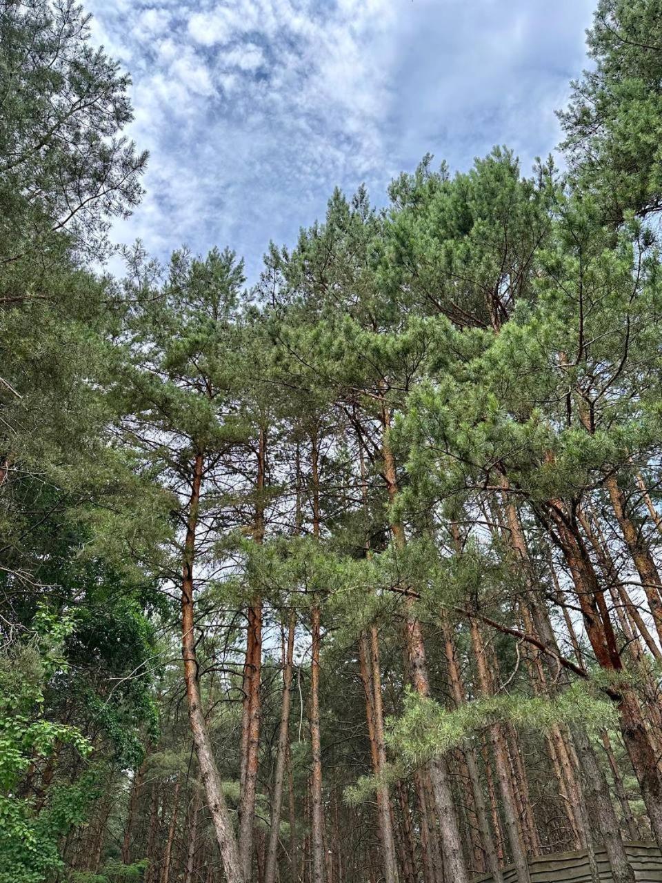 Secret Resort Club Pereyaslav-Khmelʼnytsʼkyy المظهر الخارجي الصورة